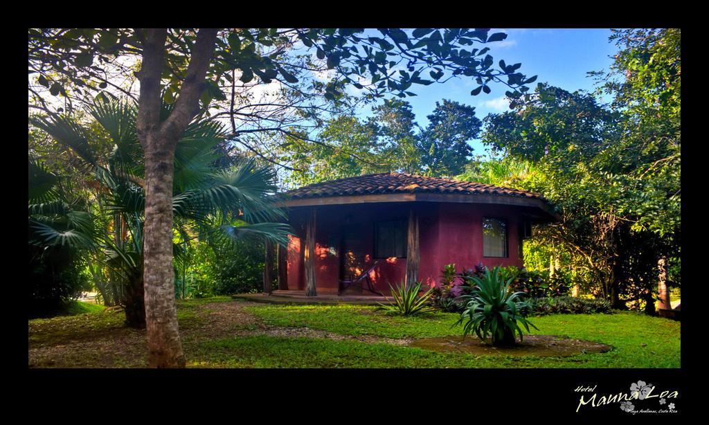 Hotel Mauna Loa Pinilla Phòng bức ảnh