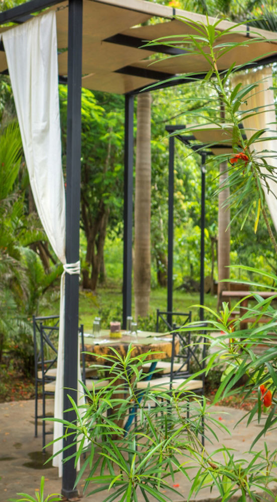 Hotel Mauna Loa Pinilla Ngoại thất bức ảnh