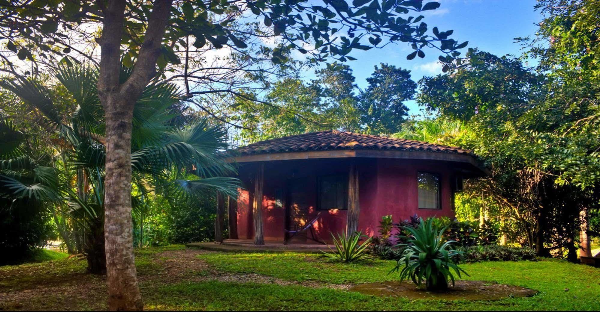 Hotel Mauna Loa Pinilla Ngoại thất bức ảnh