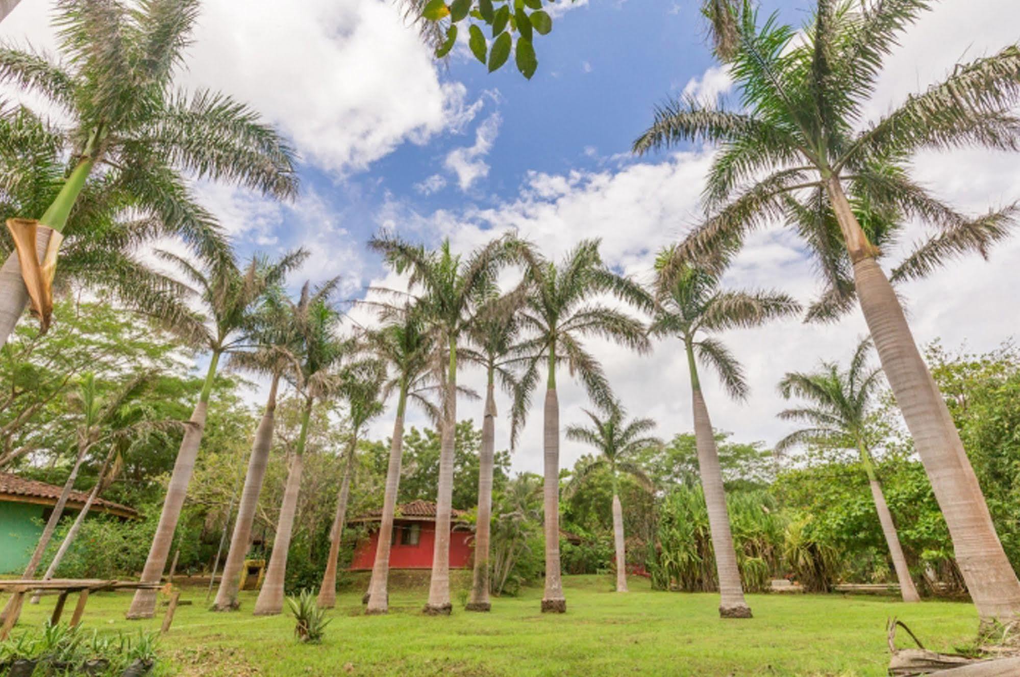 Hotel Mauna Loa Pinilla Ngoại thất bức ảnh